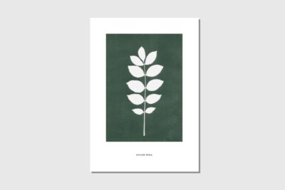 Poster A4 Esche grün weiss