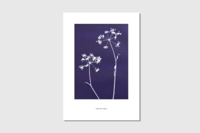 Poster A4 Kerbel Duo blau weiss