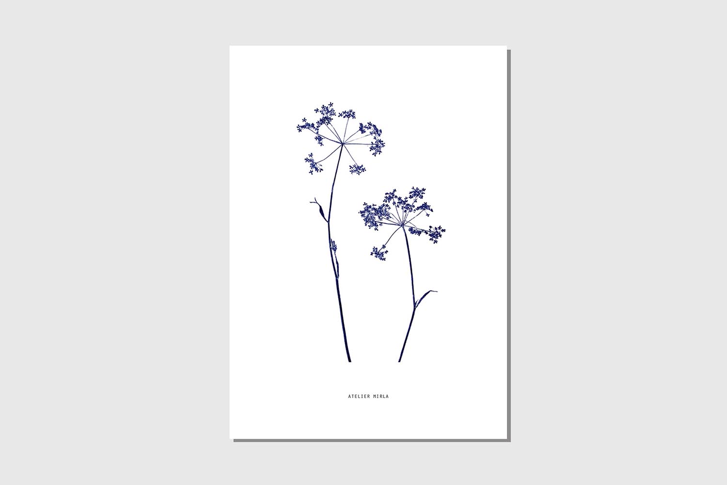 Poster_A4-Kerbel-Duo-weiss-blau