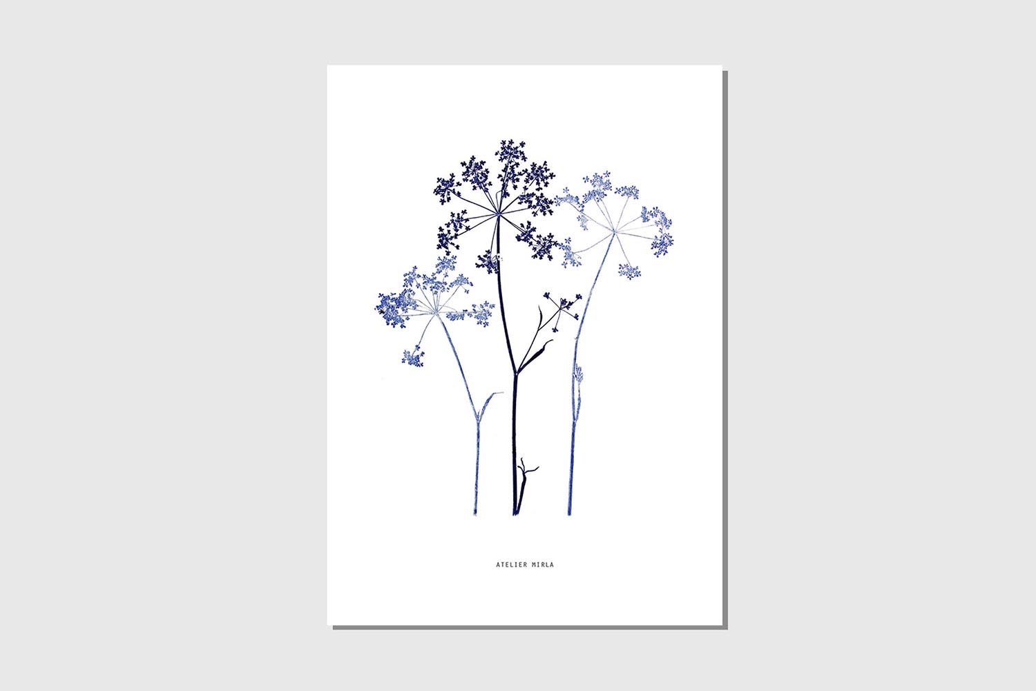 Poster_A4-Kerbel-Trio-weiss-blau